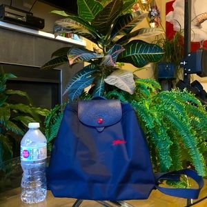 Long Champ Backpack